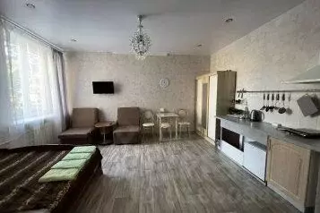 1-к кв. Санкт-Петербург Промышленная ул., 10 (27.0 м) - Фото 0