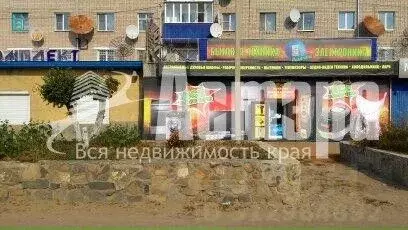 Торговая площадь в Забайкальский край, Борзя ул. Карла Маркса, 87 (195 ... - Фото 1