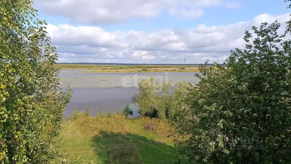 Участок в Архангельская область, Холмогорский муниципальный округ, д. ... - Фото 1