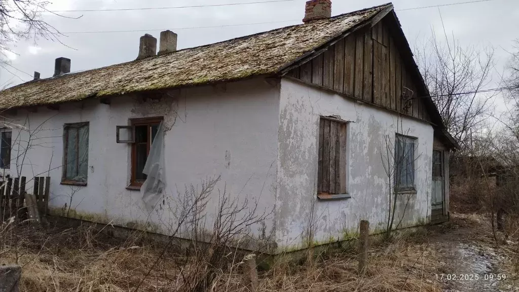 Помещение свободного назначения в Калининградская область, ... - Фото 1