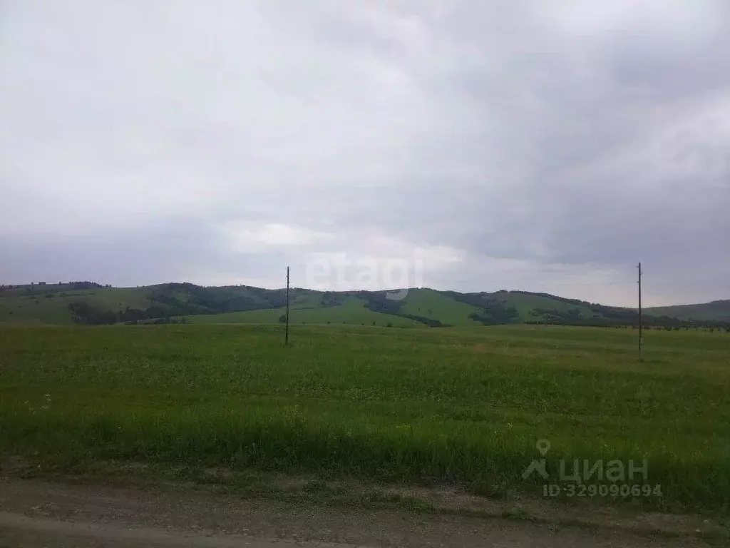 Участок в Алтайский край, Усть-Калманский район, с. Слюдянка ... - Фото 1