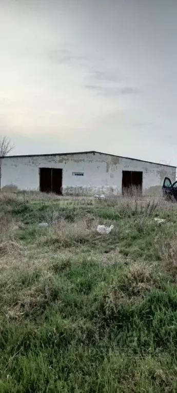 Помещение свободного назначения в Крым, Симферопольский район, ... - Фото 0