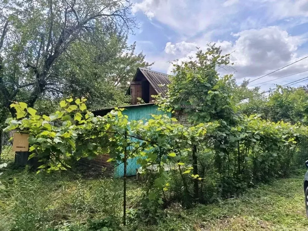 Дом в Воронежская область, Воронеж Путь Мичурина ДНТ, ул. Широкая, 21 ... - Фото 1
