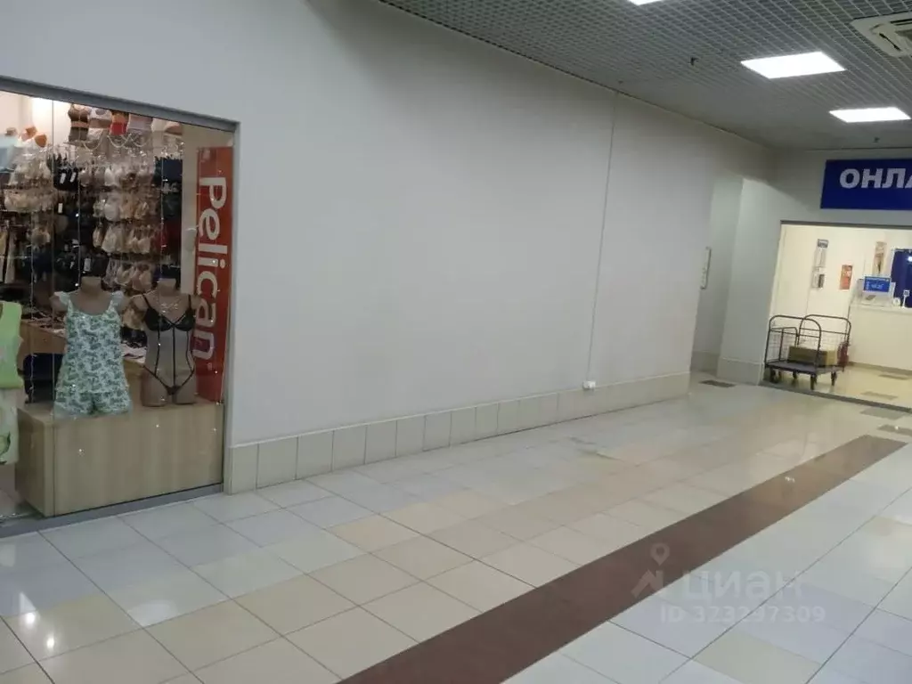 Торговая площадь в Челябинская область, Челябинск Салютная ул., 27 (6 ... - Фото 1