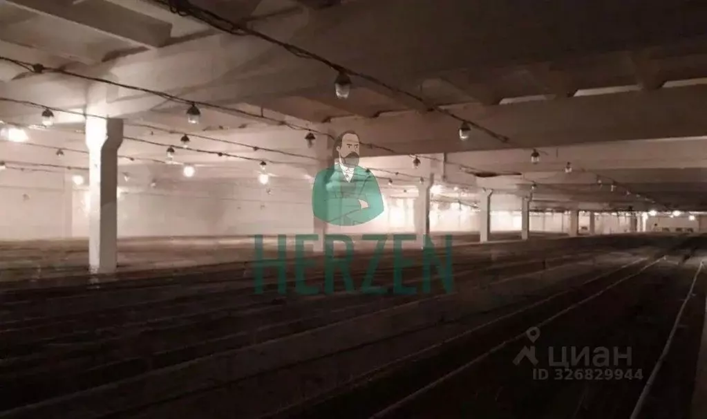 Производственное помещение в Московская область, Клин городской округ, ... - Фото 2