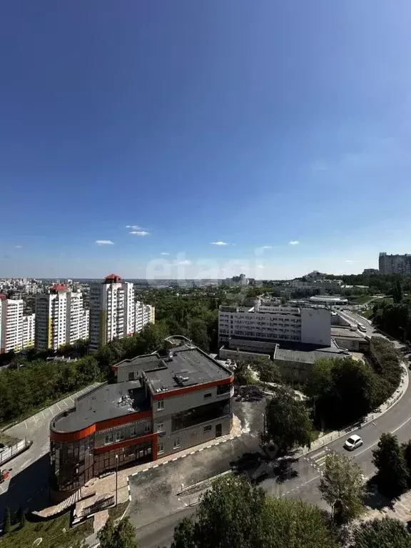 3-к кв. Белгородская область, Белгород ул. 5 Августа, 36/3 (63.6 м) - Фото 1