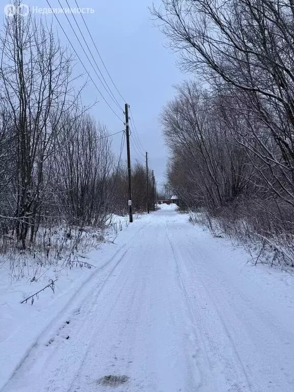 Участок в Архангельская область, Приморский муниципальный округ, ... - Фото 2