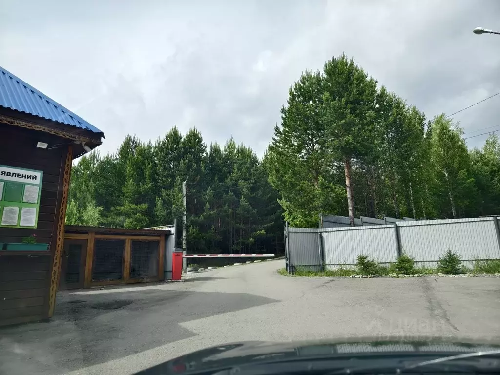 Участок в Иркутская область, Иркутский муниципальный округ, Молодость ... - Фото 0