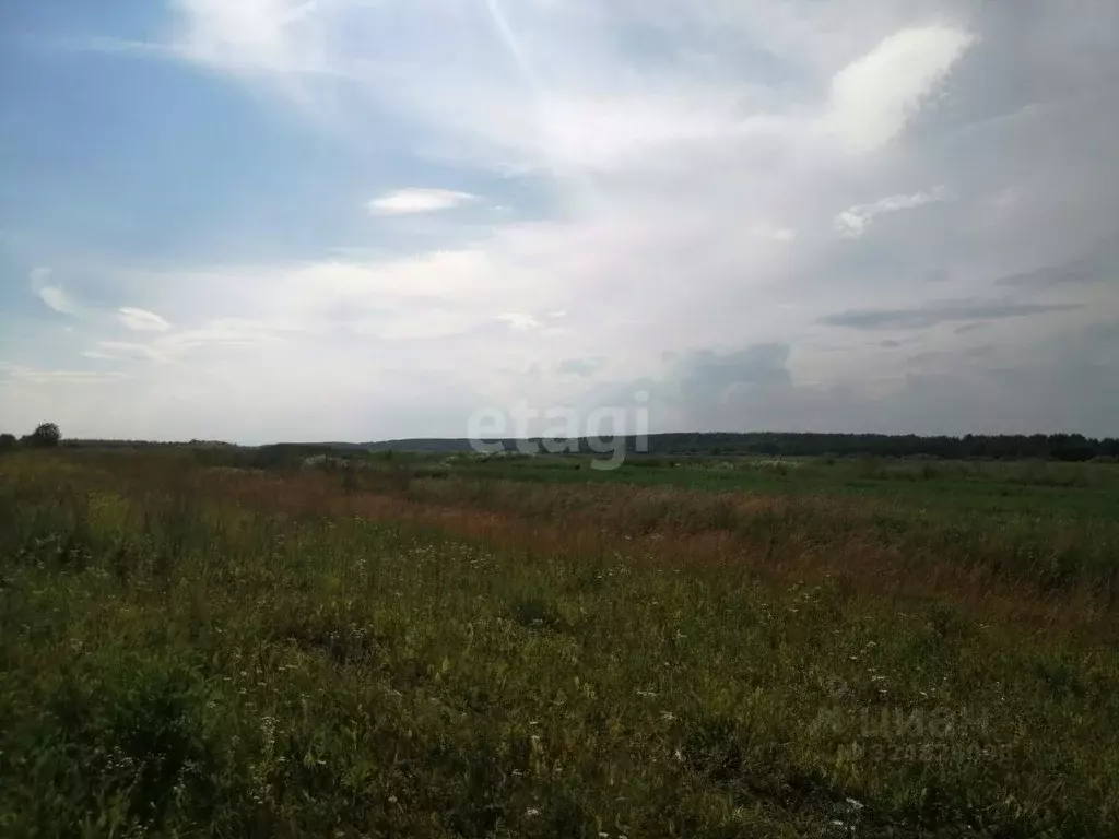 Участок в Владимирская область, Меленковский муниципальный округ, с. ... - Фото 1