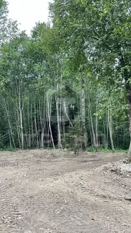 Участок в Ленинградская область, Всеволожский район, Лесколовское ... - Фото 0