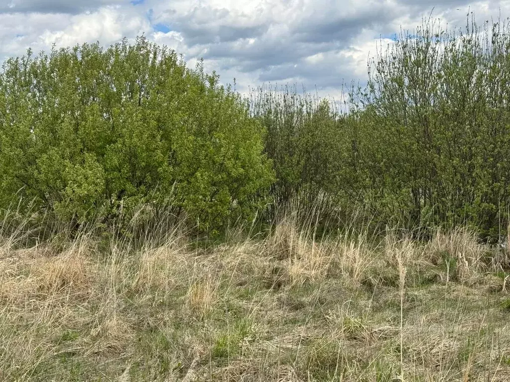 Участок в Московская область, Богородский городской округ, д. Старые ... - Фото 1