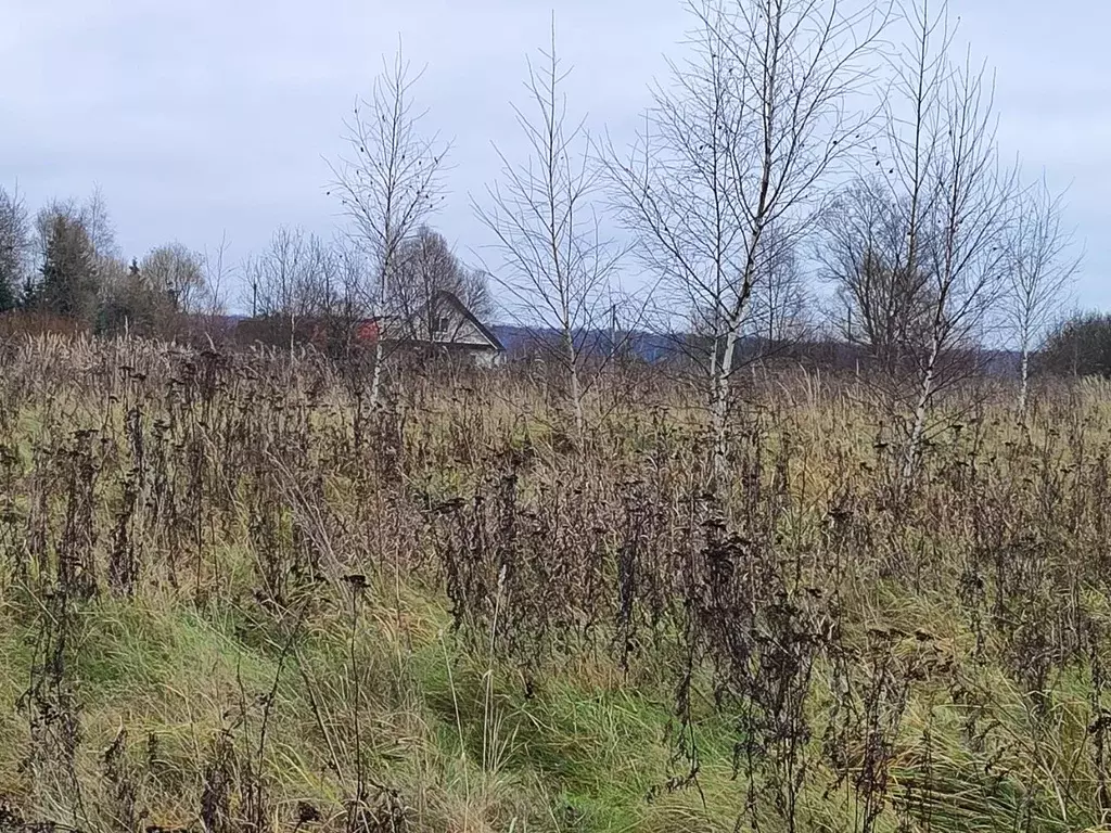 Участок в Московская область, Раменский муниципальный округ, д. ... - Фото 2