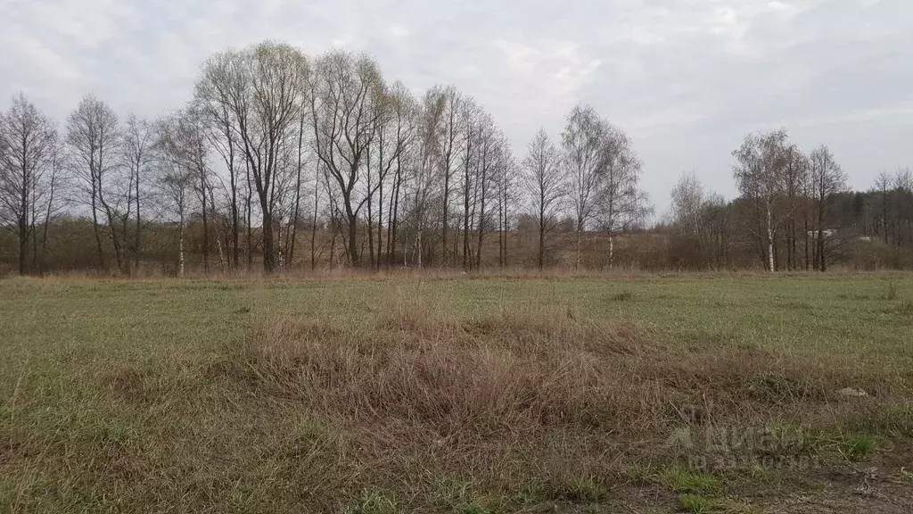 Участок в Московская область, Раменское ул. Осенняя (15.81 сот.) - Фото 2
