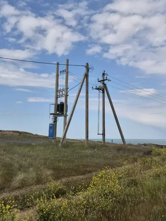 Участок в Крым, Ленинский район, с. Калиновка ул. Ленина (100.0 сот.) - Фото 2