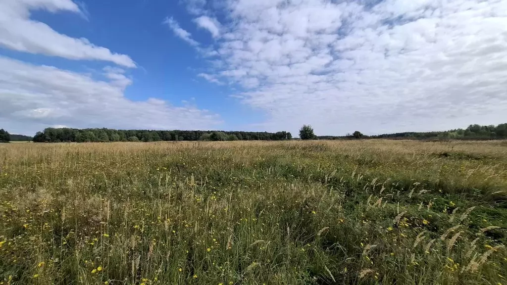 Участок в Московская область, Кашира городской округ, д. Яковское  ... - Фото 1