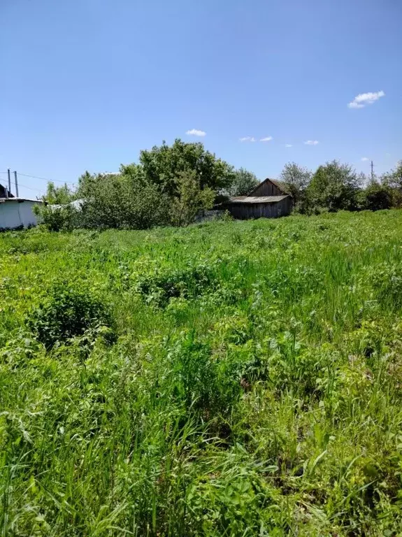 Участок в Саратовская область, с. Михайловка ул. Школьная (15.0 сот.) - Фото 0
