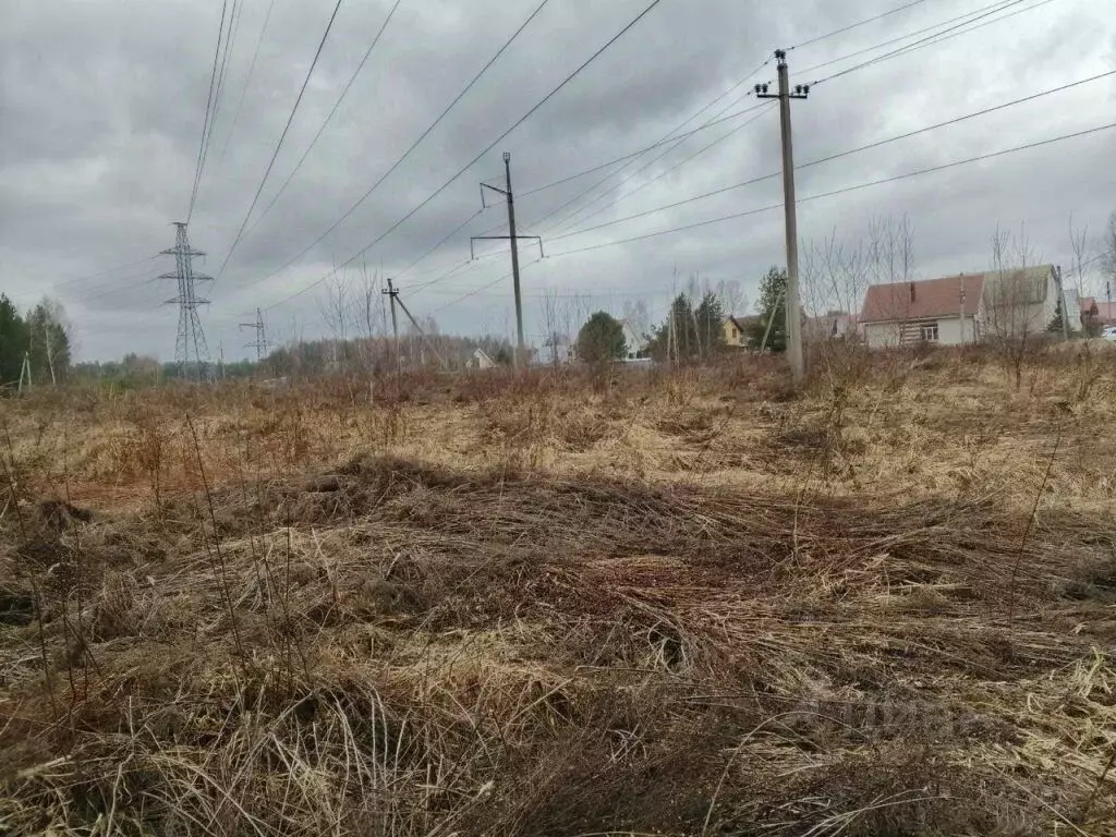 Участок в Нижегородская область, Бор Сельхозтехника СНТ, 352 (6.0 ... - Фото 0