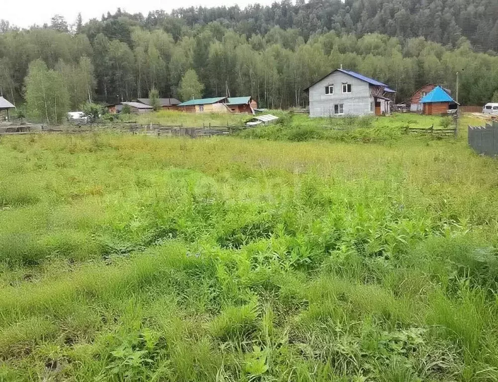 Участок в Алтай, Чемальский район, с. Чемал ул. Земляничная, 5 (9.97 ... - Фото 2