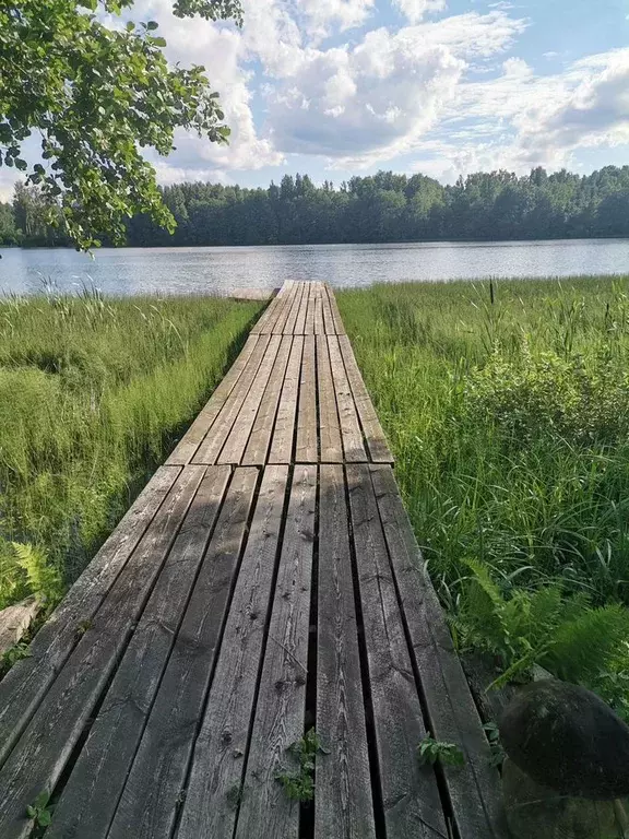 Коттедж в Псковская область, Гдовский район, Плесновская волость  (60 ... - Фото 1