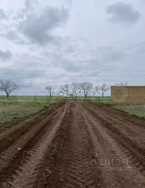 Участок в Крым, Сакский район, с. Молочное  (19892.0 сот.) - Фото 2