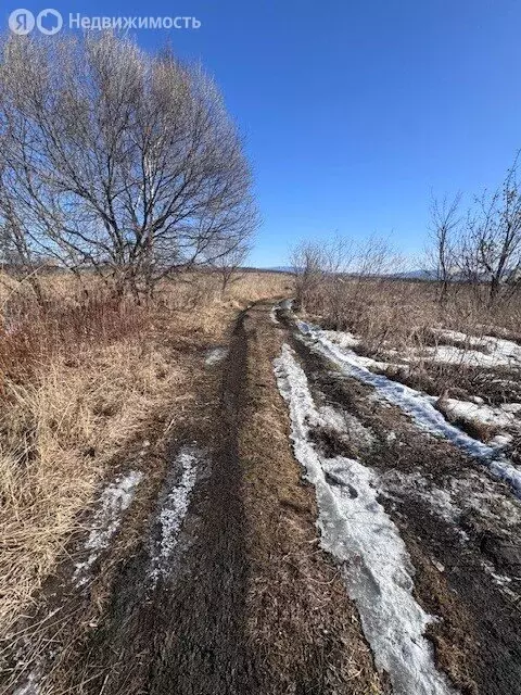 Участок в Приморский край, Черниговский муниципальный округ, село ... - Фото 0