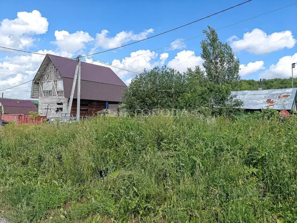 Участок в Новосибирская область, Новосибирский район, Раздольненский ... - Фото 0