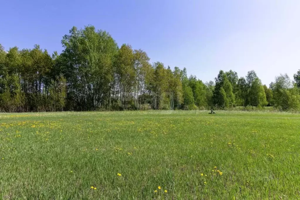 Участок в Тюменская область, Тюмень  (8.75 сот.) - Фото 0