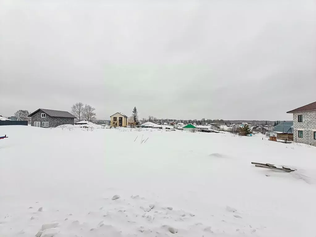 Участок в Новосибирская область, Новосибирский район, Каменский ... - Фото 1