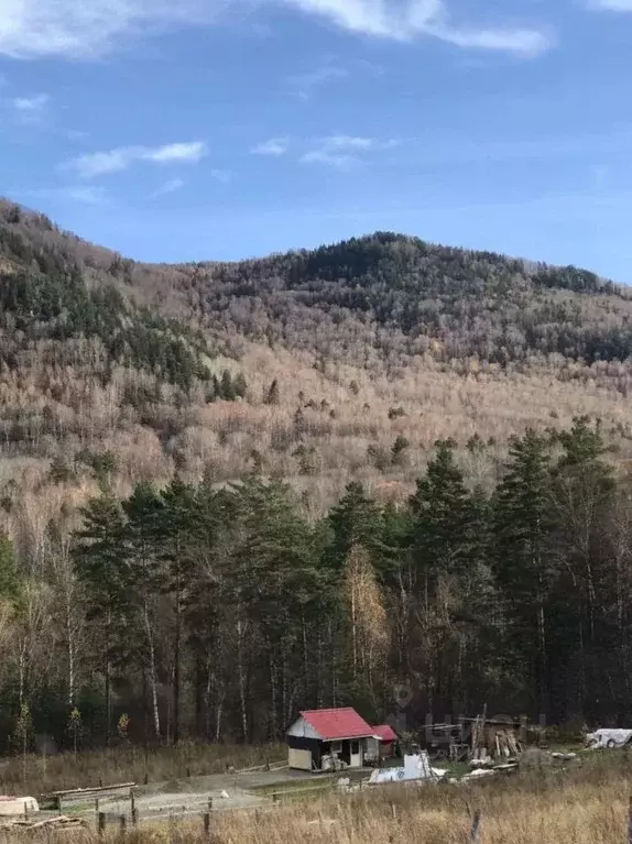 Участок в Алтай, Майминский район, Манжерокское с/пос, с. Озерное ул. ... - Фото 1