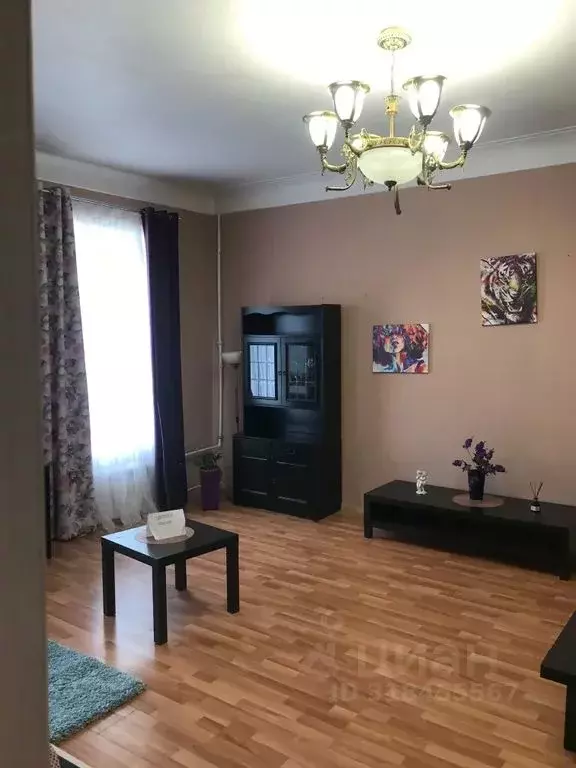 1-к кв. Санкт-Петербург Прачечный пер., 3Б (45.0 м) - Фото 2