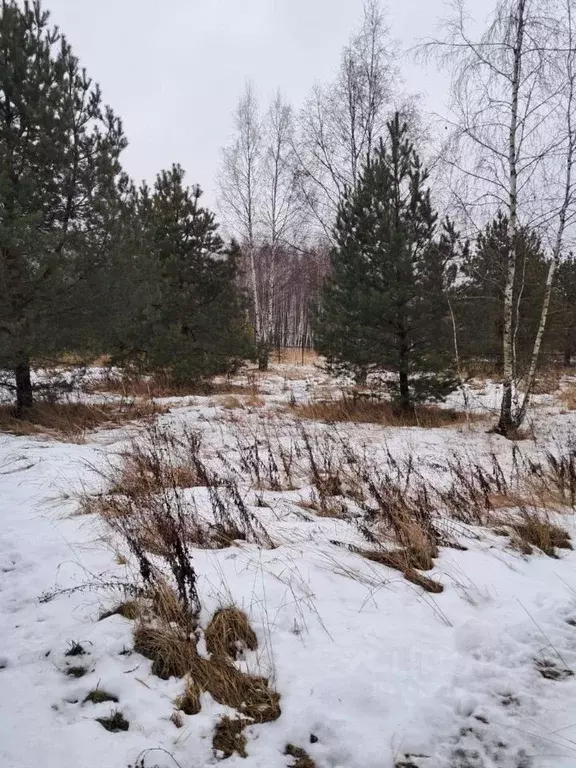 Участок в Московская область, Орехово-Зуевский городской округ, д. ... - Фото 0