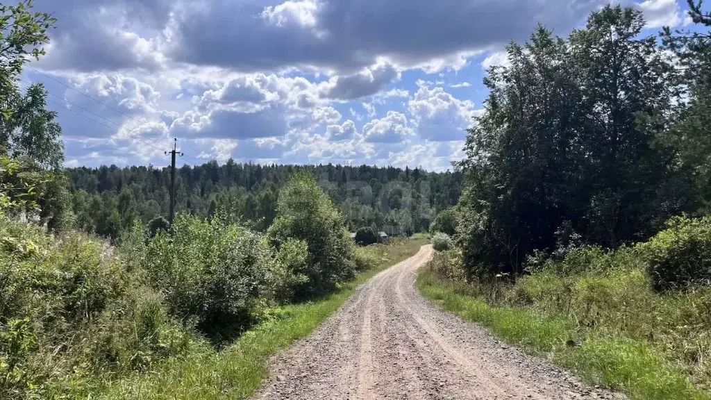 Участок в Ленинградская область, Киришский район, Будогощское ... - Фото 0