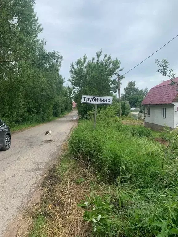 Участок в Псковская область, Великолукский район, Лычевская волость, ... - Фото 0
