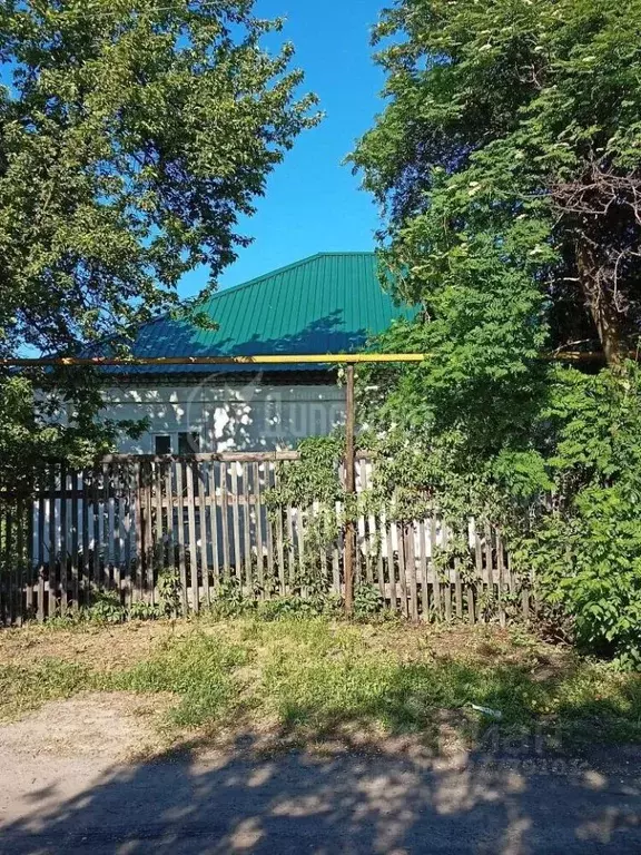 Дом в Курганская область, Курган ул. Огинского (70 м) - Фото 2