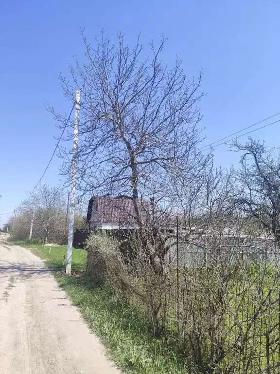 Участок в Курская область, Курск Курск СНТ, 367 (6.5 сот.) - Фото 2