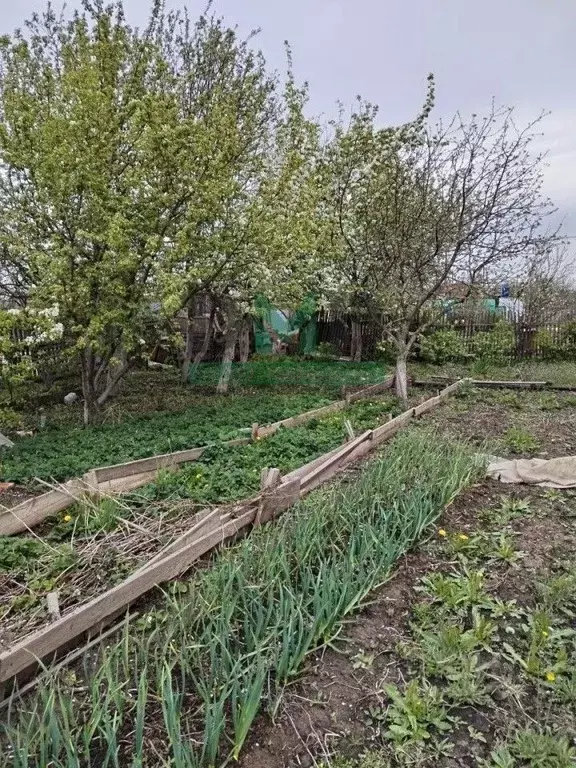 Дом в Оренбургская область, Орск  (24 м) - Фото 2