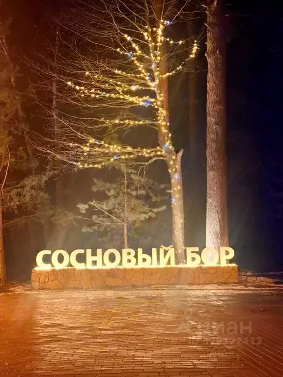 Участок в Москва Сосновый Бор кп, 158 (25.0 сот.) - Фото 1