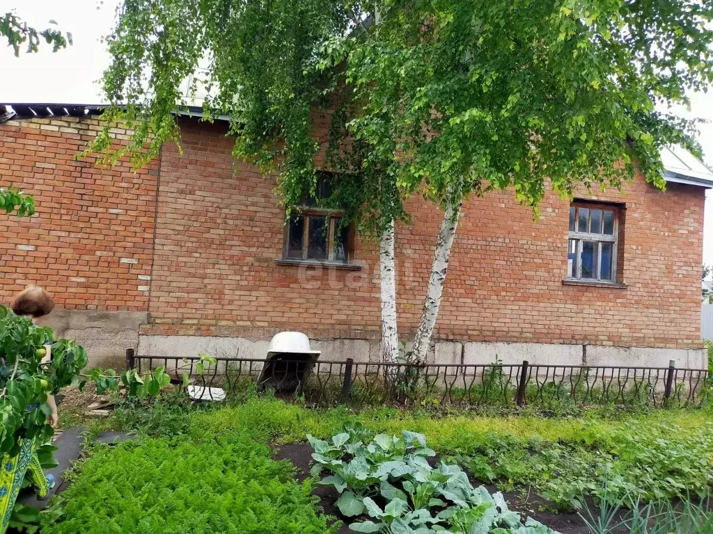 Дом в Башкортостан, Альшеевский район, с. Раевский ул. Кирова, 114 (79 ... - Фото 0
