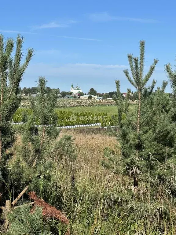 Участок в Владимирская область, Ковровский район, Доброград ... - Фото 1