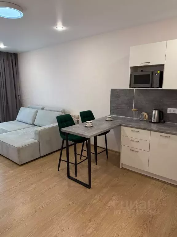 Студия Башкортостан, Уфа просп. Октября, 75 (30.0 м) - Фото 2