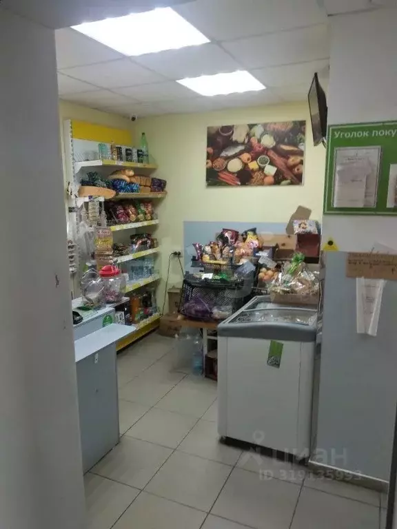 Офис в Белгородская область, Белгородский район, Разумное рп ул. ... - Фото 1
