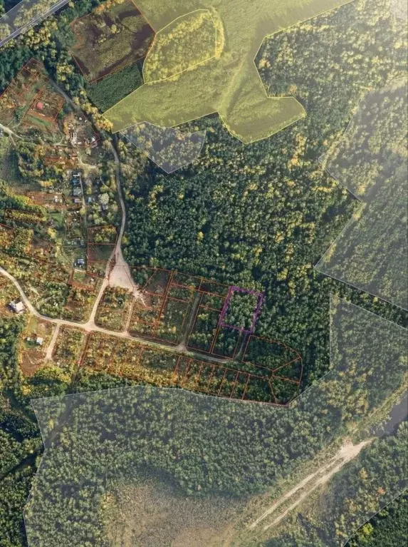 Участок в Рязанская область, Клепиковский муниципальный округ, д. ... - Фото 2