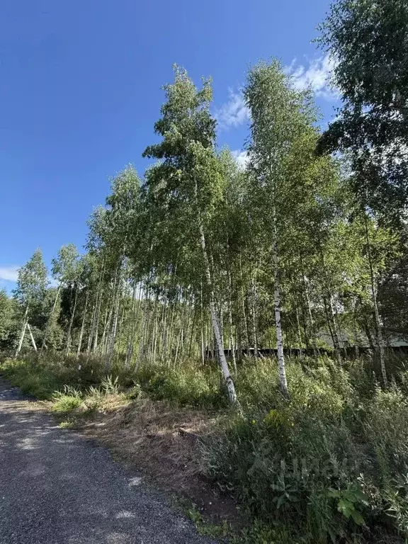 Участок в Московская область, Клин городской округ, д. Вертково  (6.0 ... - Фото 2