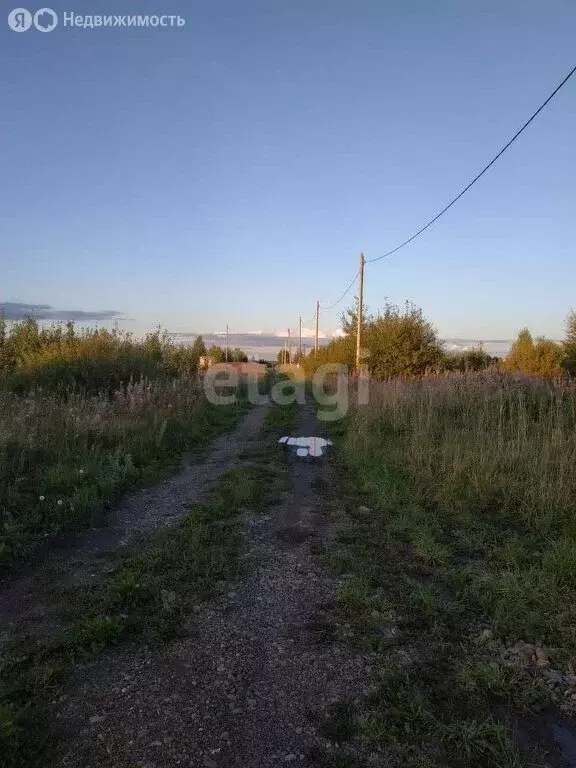 Участок в Томский район, деревня Петрово, Северная улица (13 м) - Фото 1