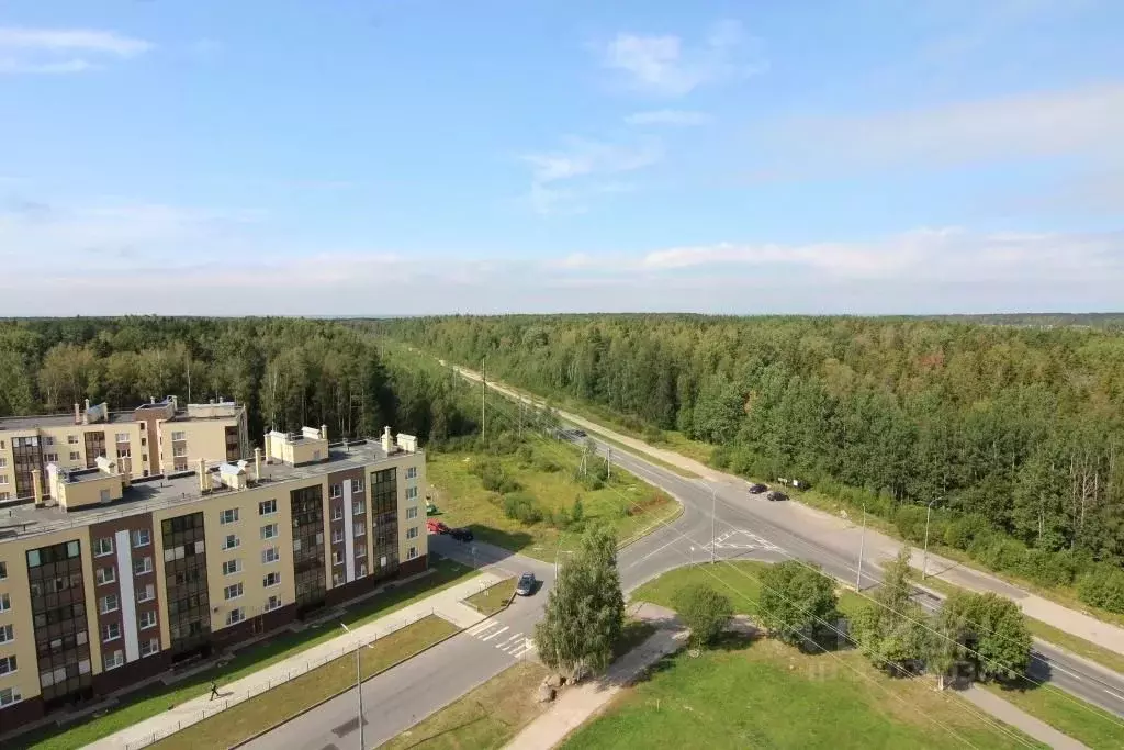 1-к кв. Ленинградская область, Сосновый Бор Молодежная ул., 78 (39.0 ... - Фото 2