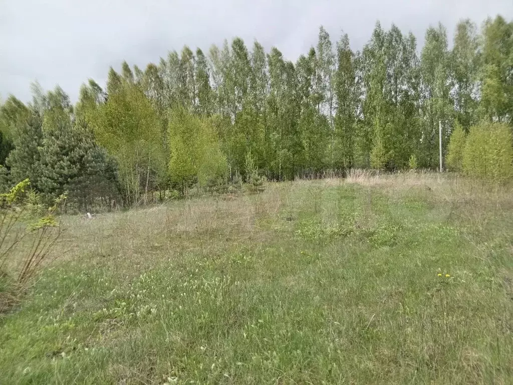 Участок 15 сот. (ИЖС) - Фото 1