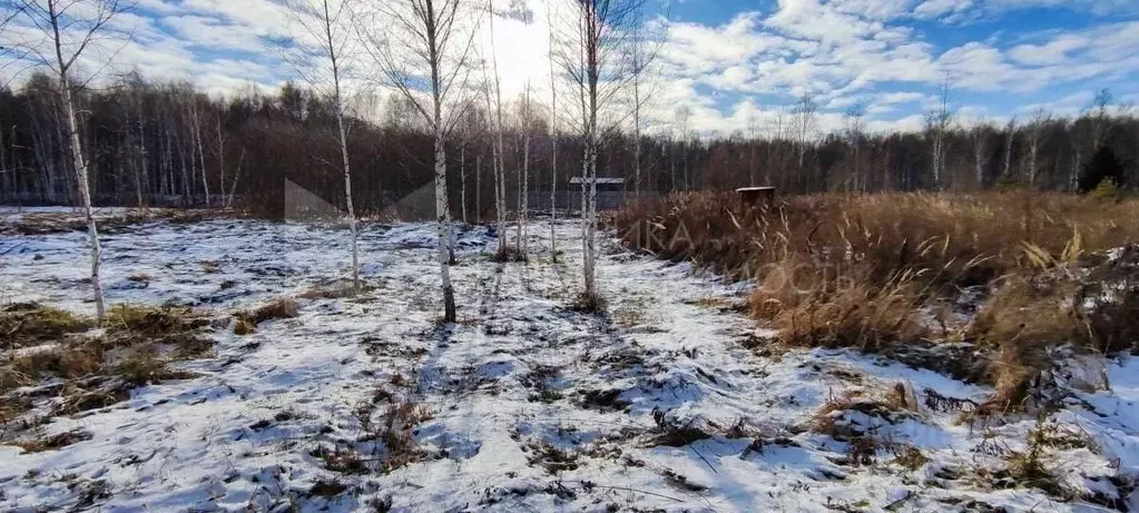 Участок в Тюменская область, Нижнетавдинский муниципальный округ, ... - Фото 2