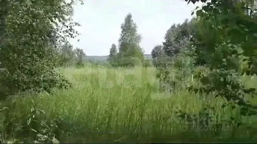 Участок в Калининградская область, Нестеров  (100.0 сот.) - Фото 2
