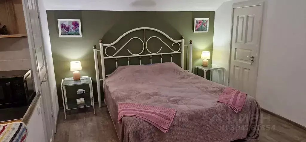 Студия Крым, Алупка ул. Красногвардейская, 21А (29.0 м) - Фото 1