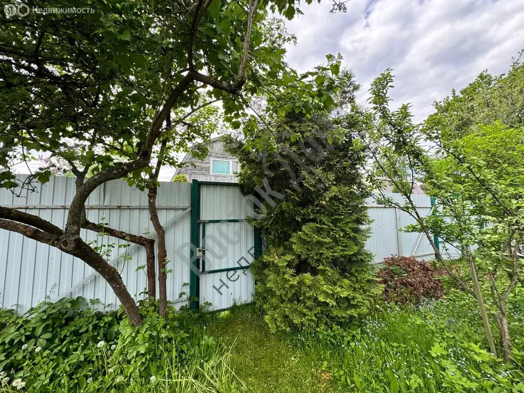 Дом в Богородский городской округ, СНТ Сплав, 18 (55 м) - Фото 1